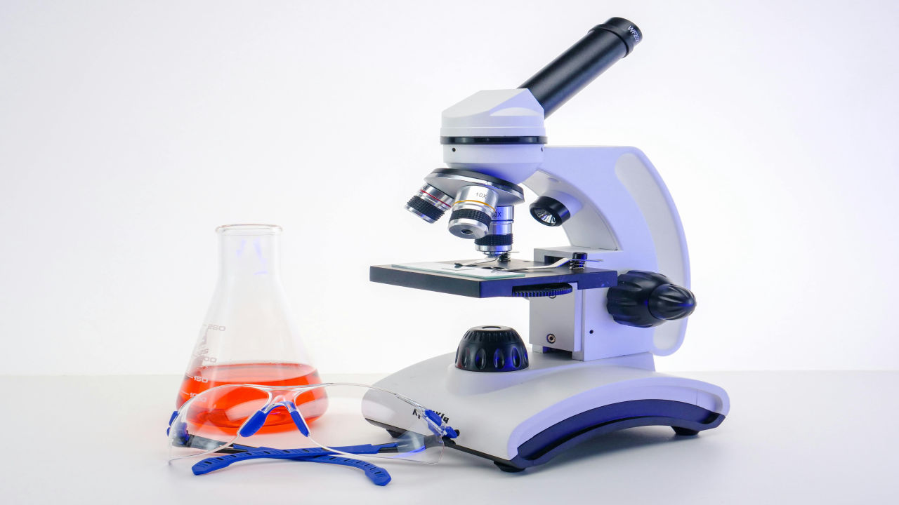 Class XI Biology